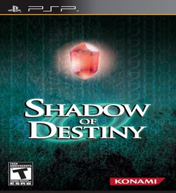 Shadow Of Destiny